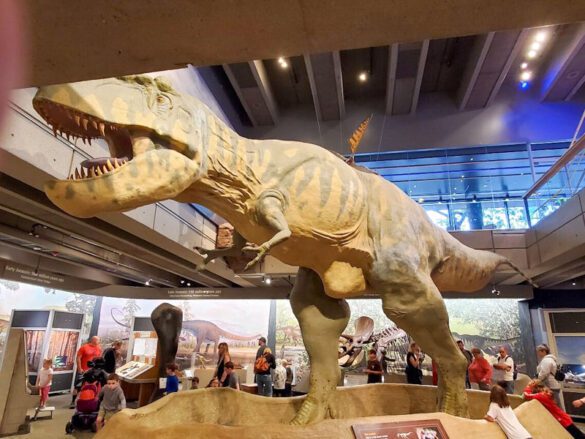 12 Can’t-Miss Things to Do With Teens in Boston (From Locals’ Favorites ...