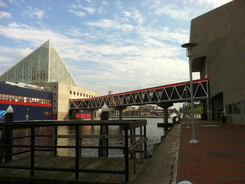 Experience the ocean's spray and the thrill of the deep blue at the National Aquarium like never before.