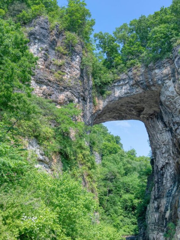 Top 12 Hidden Gems in Virginia You Won’t Believe Exist(02)