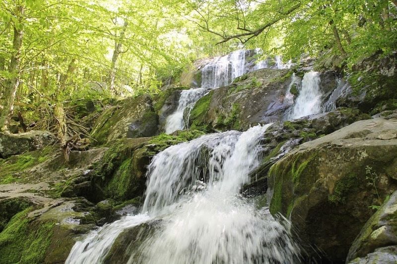 Experience the symphony of water and wilderness at Rose River Falls
