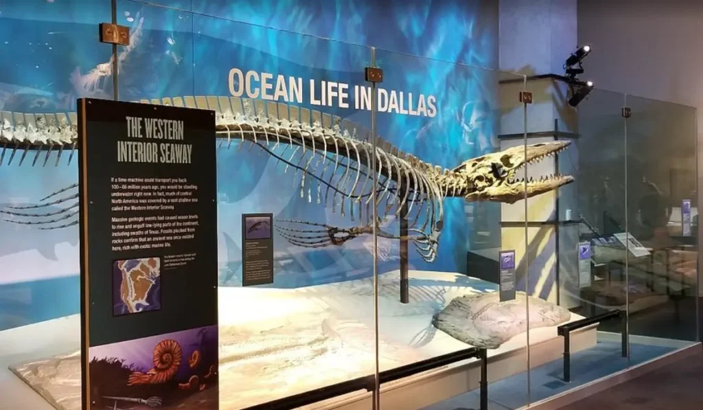 Perot Museum of Nature and Science