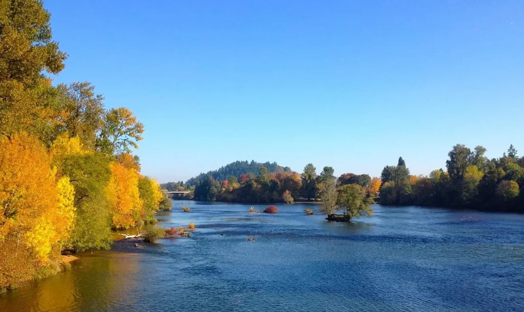 Eugene