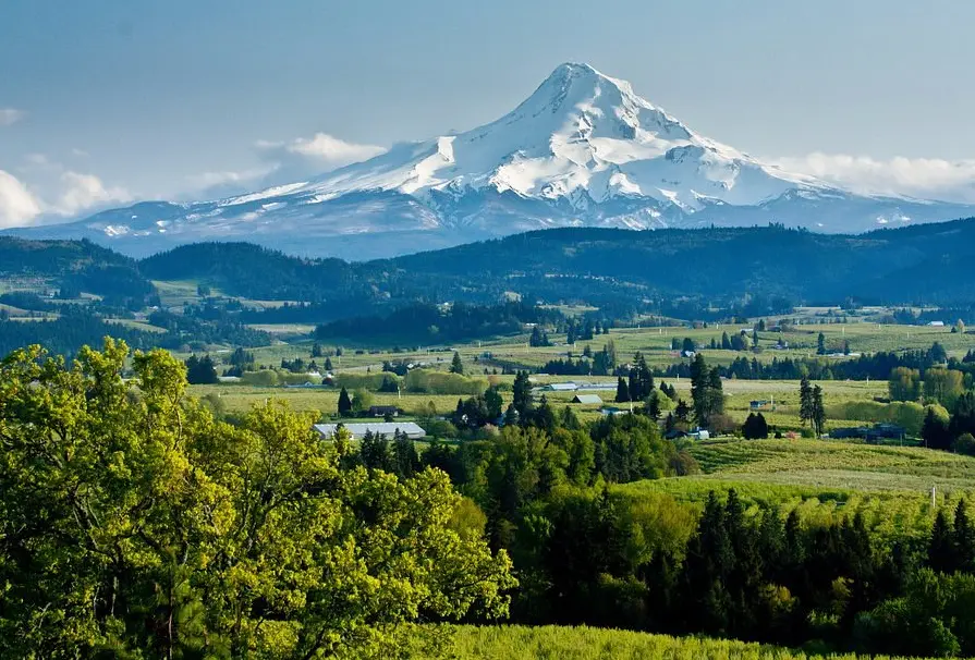 Hillsboro