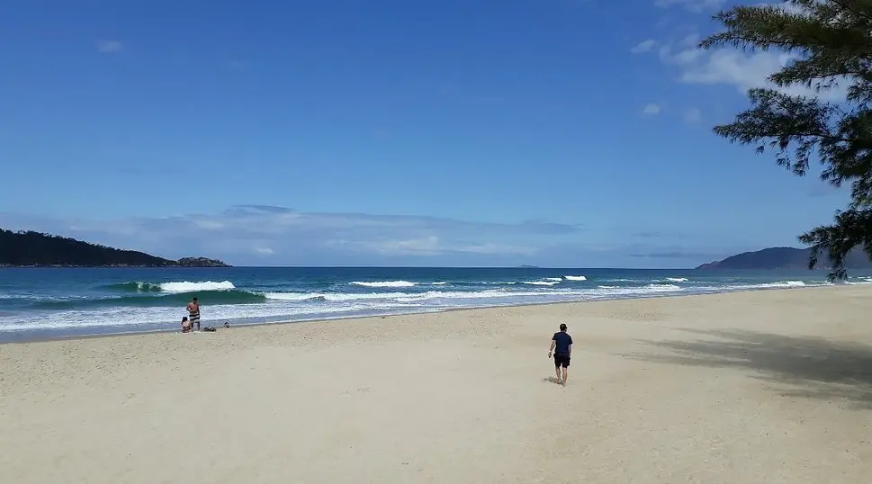 Ilha do Campeche