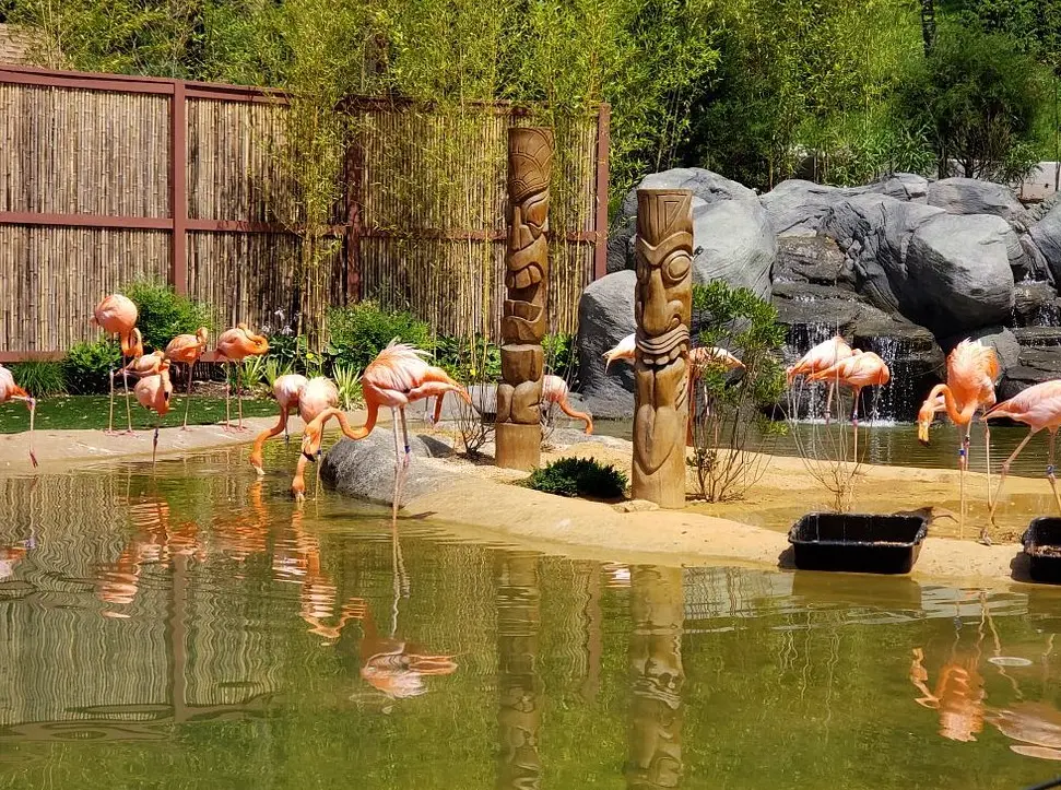 Turtle Back Zoo