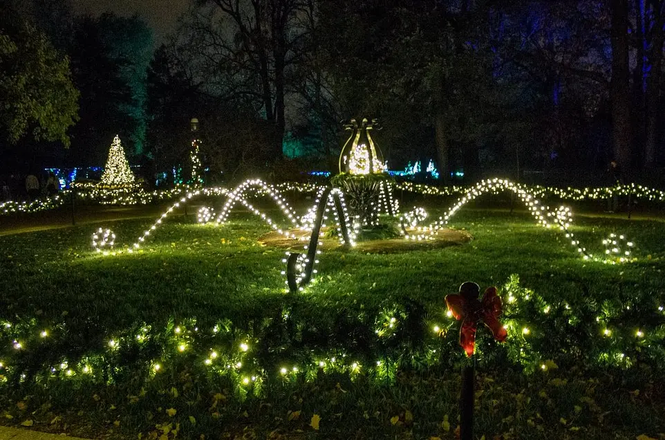 Garden Glow