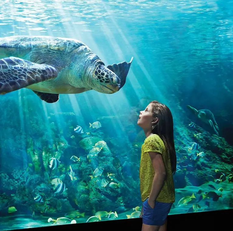 SeaWorld