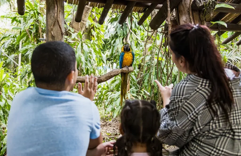 Jungle Island