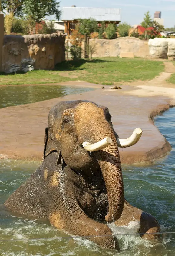 Denver Zoo