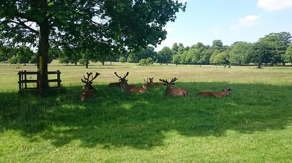 Wollaton Hall and Park