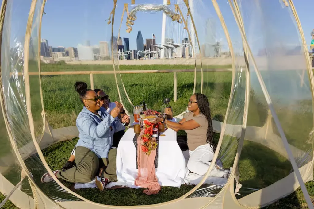 Luxurious Picnic with Views of Downtown Dallas