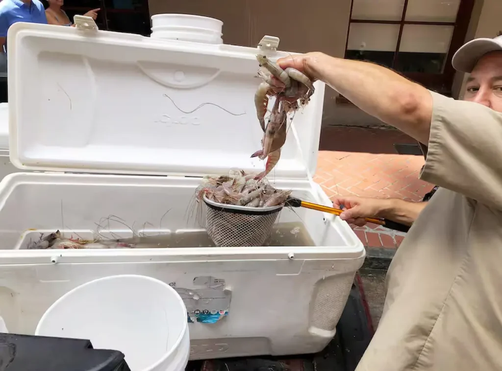 Cook and taste BBQ shrimp in uptown New Orleans