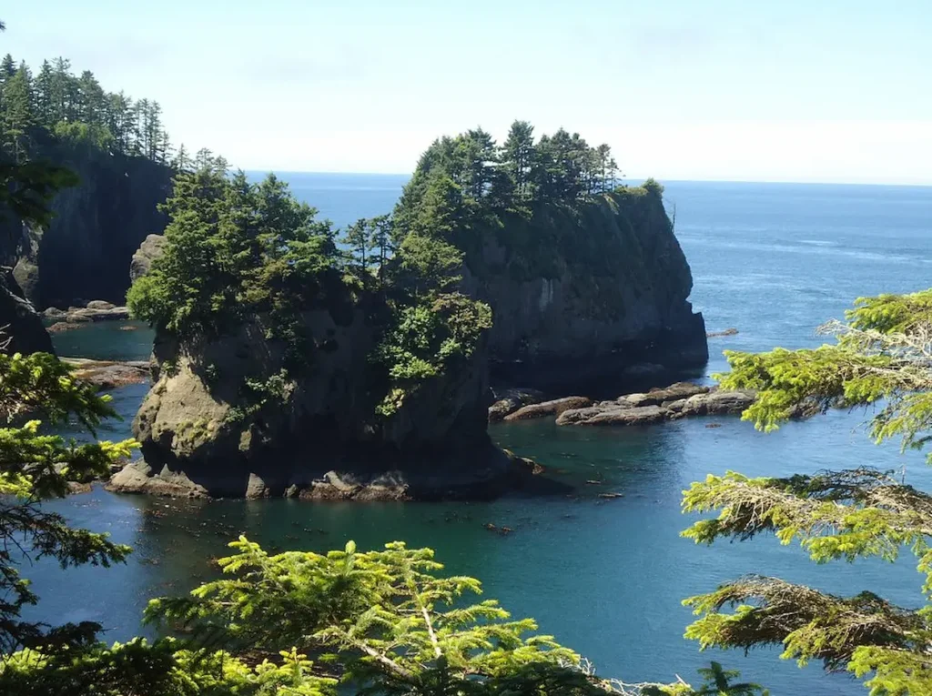 Cape Flattery Trail