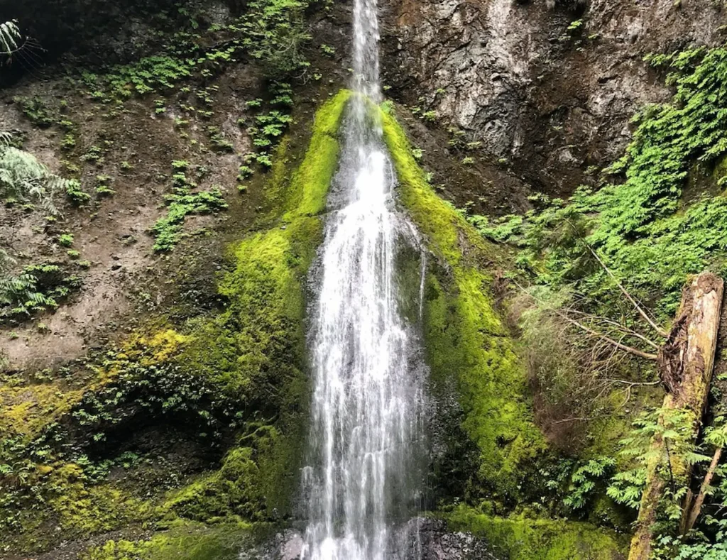 Waterfall on Olympic National Park
