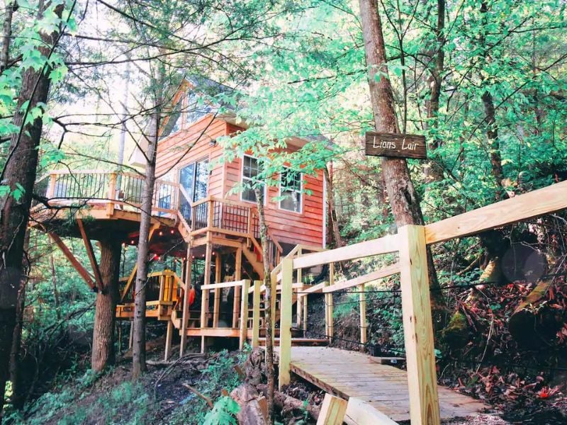 Explore a unique stay in Kentucky at Lions Lair, a unique Airbnb in the Red River Gorge.