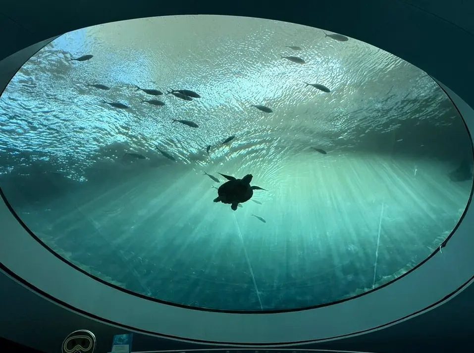 Frost Science Museum