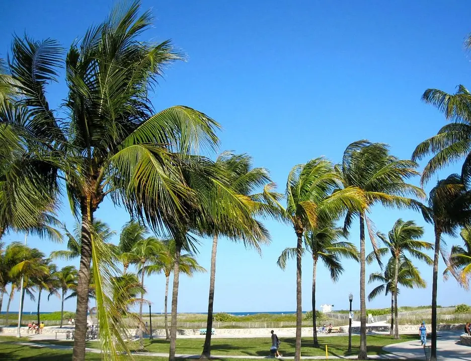 Lummus Park
