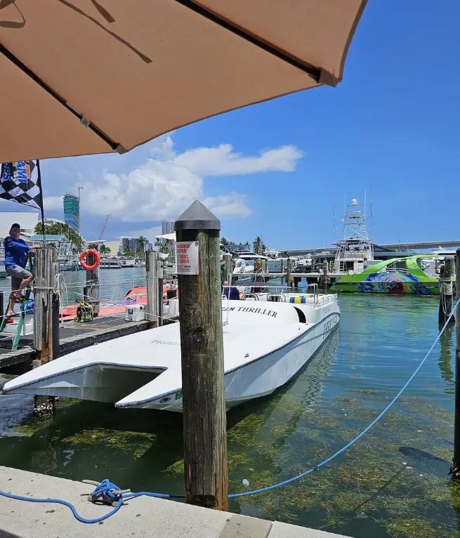 Speedboat Sightseeing Adventure of Miami