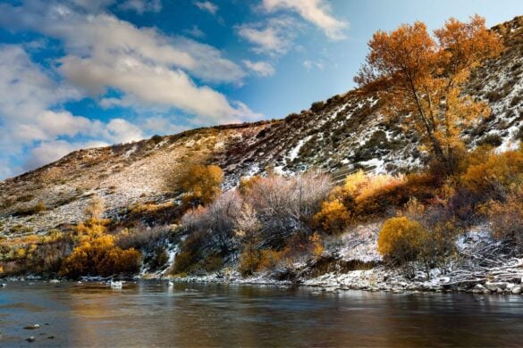 The Ultimate Reno Guide: 11 Things to Do For Young Adults