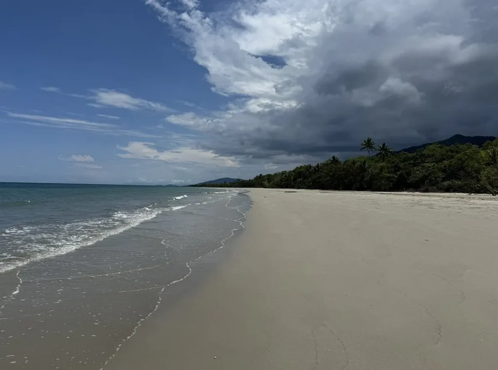 Daintree National Park