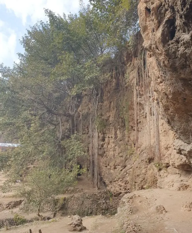 Shah Allah Ditta Caves