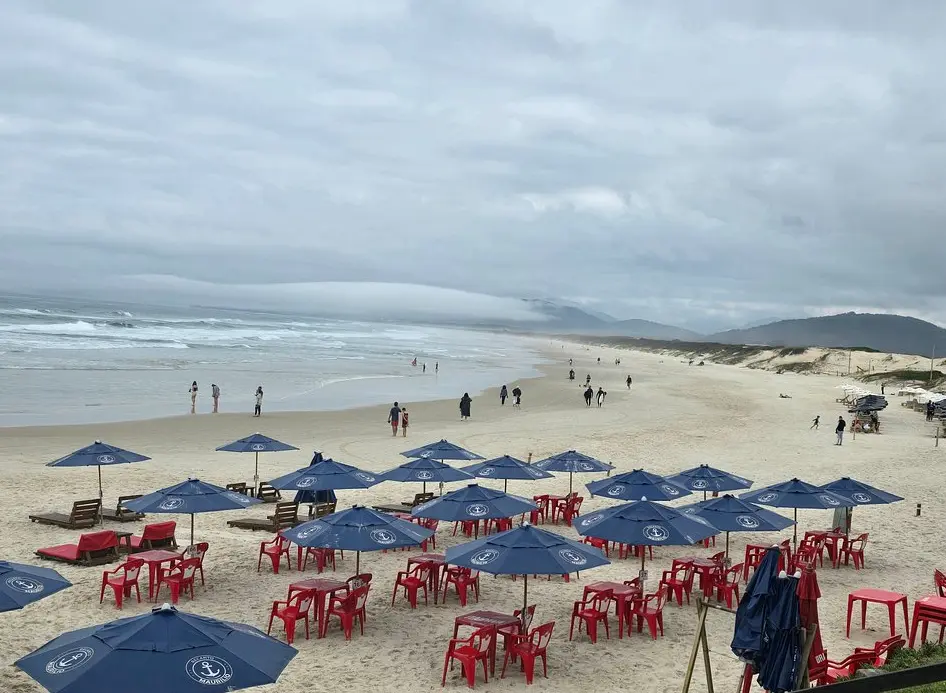 Floripa City Tour by Bus - Whole Island