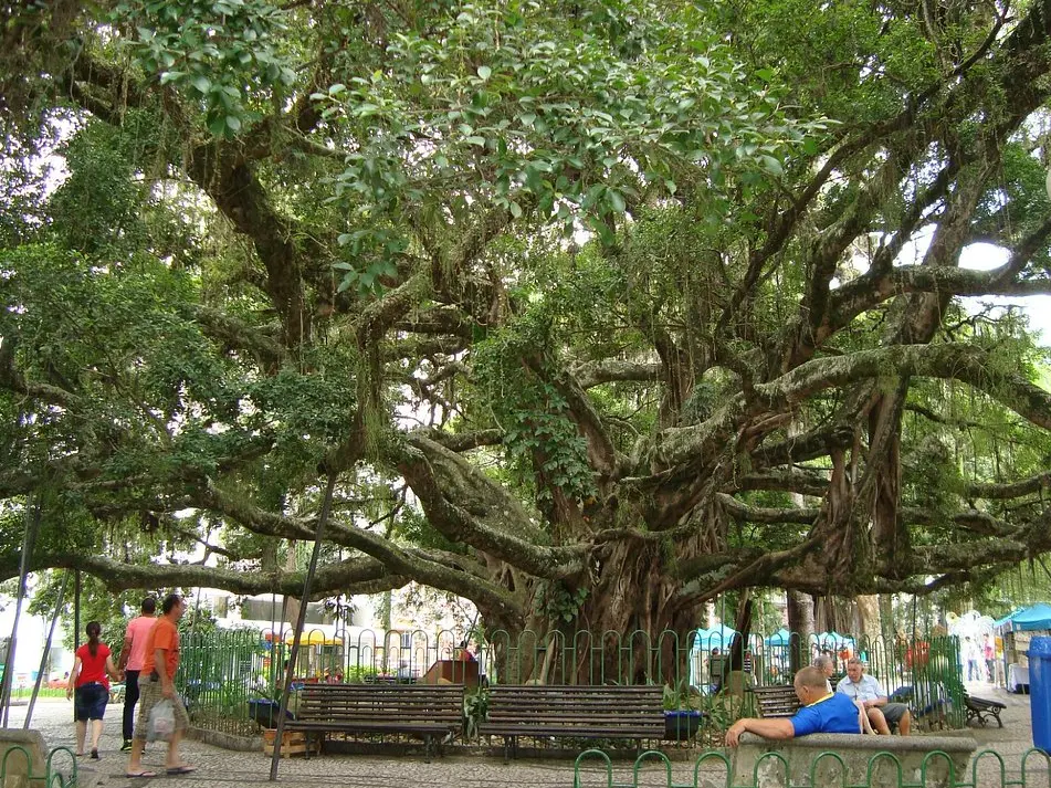 Praca XV de Novembro