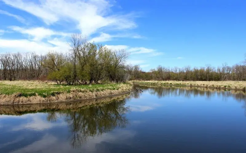 Calm river and trees reflecting on the water in Brookfield.