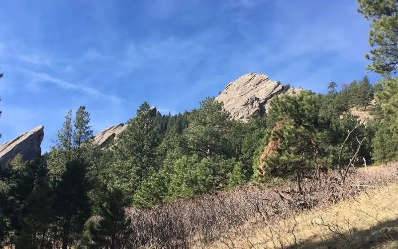 The Flatirons rock formations rise above pine trees under a blue sky.