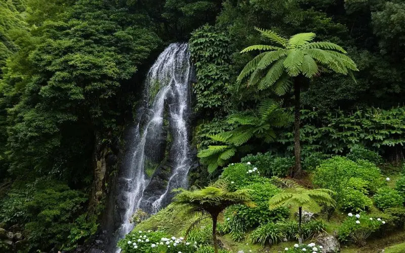 A lush green landscape with a waterfall in the Azores.