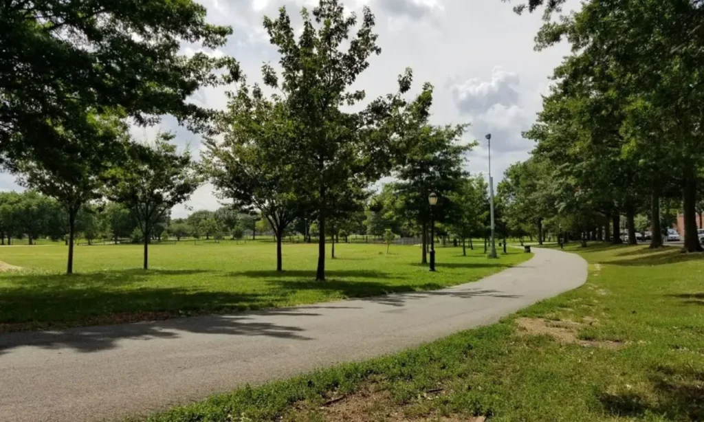 A paved walking path lined with trees and open green space in Middle Village.