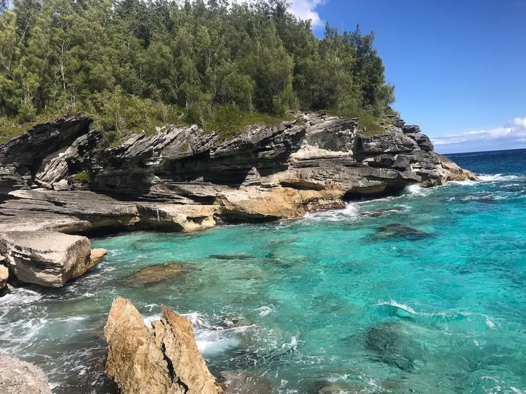 Spittal Pond Nature Reserve