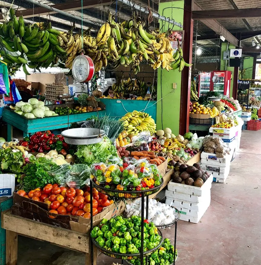 San Ignacio Market