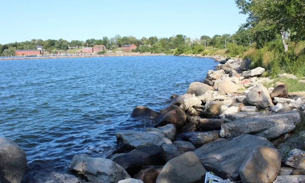 A rocky shoreline along the water in Bayside under a clear blue sky.