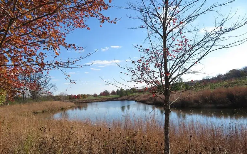 Scenic pond with autumn colors and bare trees in Elm Grove.