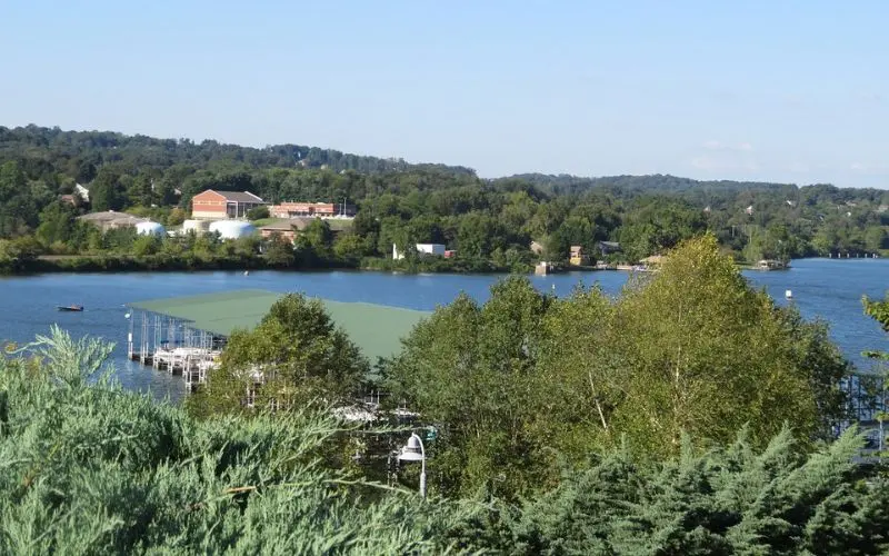 Knoxville riverfront with buildings and trees along the water.