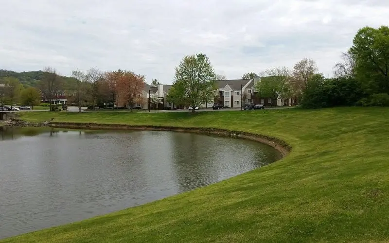 Pond and grassy area with houses in Brentwood.
