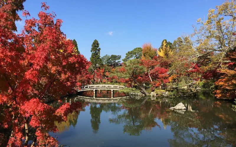 Autumn leaves surround a serene pond and bridge in Kyoto.