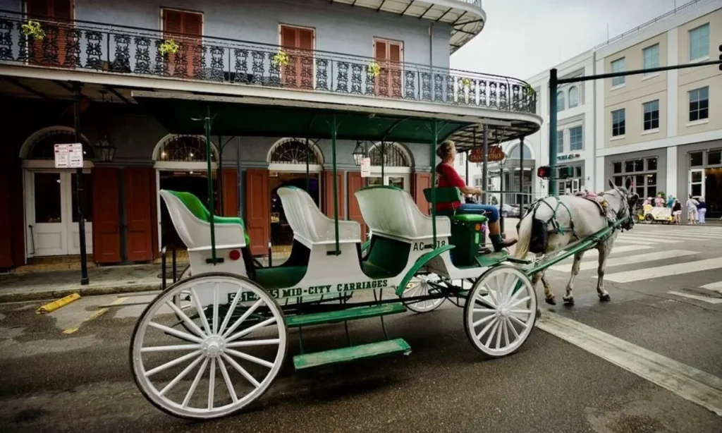 A horse-drawn carriage passes through the historic streets of New Orleans.