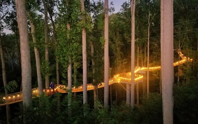 Anakeesta includes a glowing treetop skywalk winding through the forest at night.