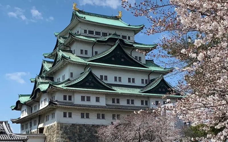 Nagoya Castle with green roofs surrounded by blooming cherry trees.