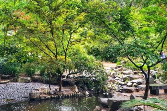 11 AWESOME Things to Do in Los Angeles in February 2026