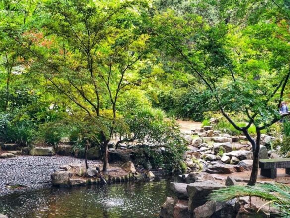 Best Things to Do in Los Angeles in February