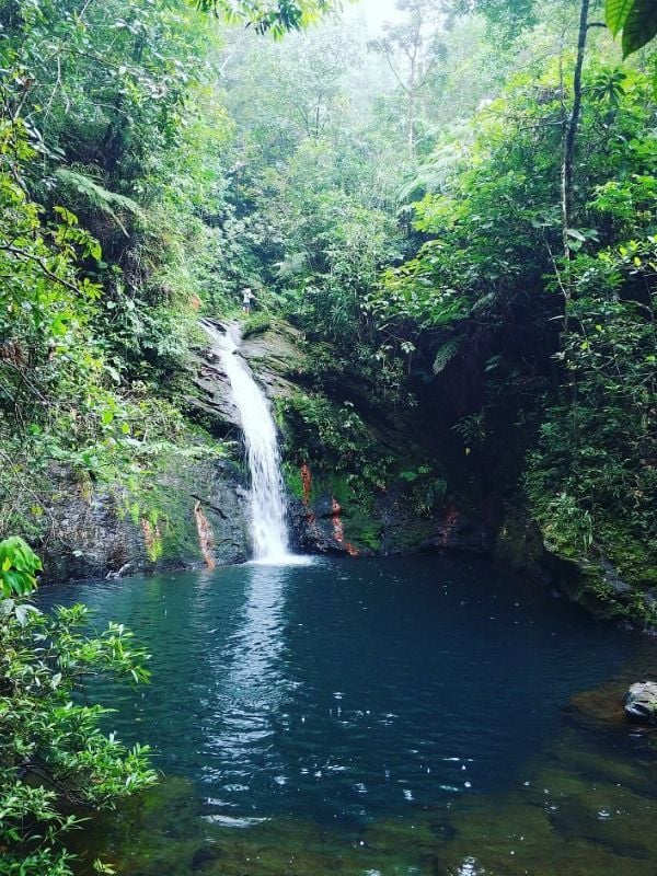 Exploring the Cockscomb Basin Wildlife Sanctuary is a journey into the core of Belize's natural splendor.