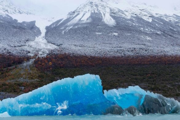 12 UNREAL Things to Do in El Calafate, Argentina