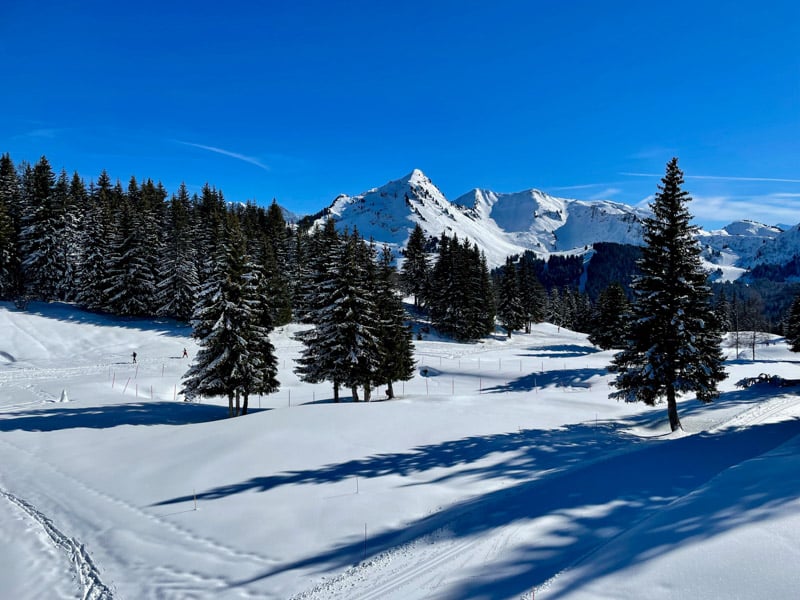 Being one of the best cities to reside in the Alps, Les Gets offers an ideal balance of allure and year-round activity.