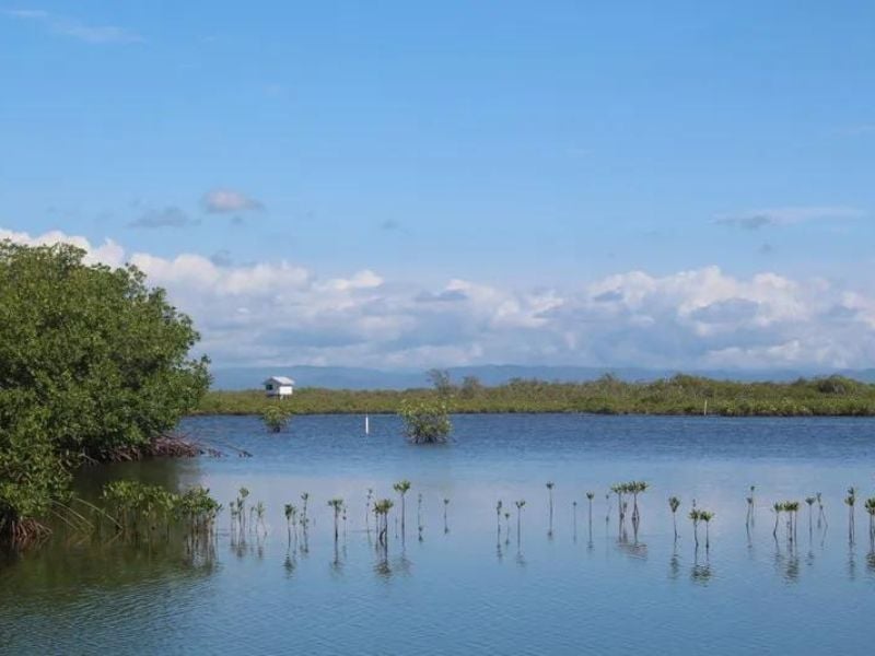 End your Placencia trip at the serene Placencia Lagoon, appreciating Belize's wonders. | Image Credits: Learning to Travel
