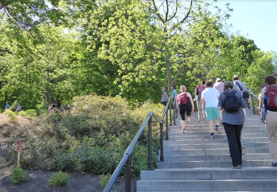 Mount Royal Park
