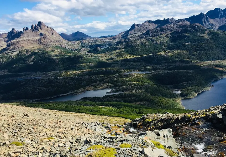 Dientes de Navarino