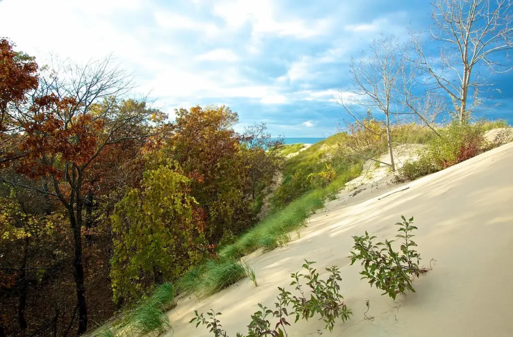 Indiana Dunes
